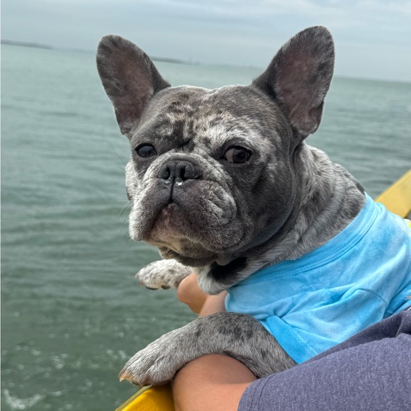 Meet your Posher, Krystle - Picture 3 of 7